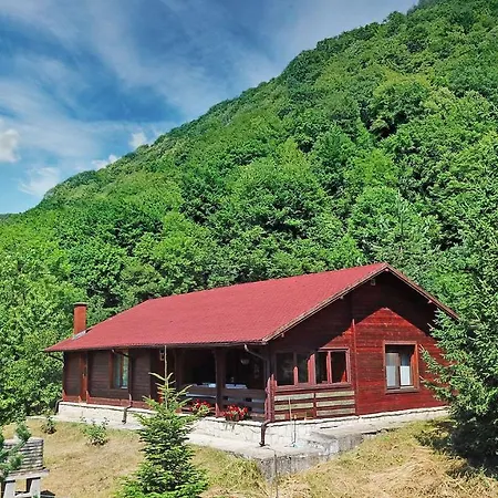 Cabana Poiana Verde Slanic Moldova Exterior photo